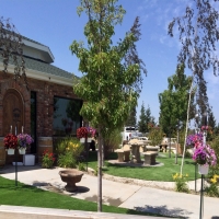 Artificial Grass Stoneham Massachusetts Landscape