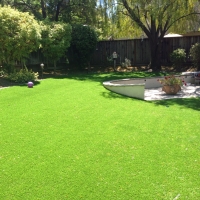 Artificial Grass Woburn Massachusetts Lawn Dogs Runs Back