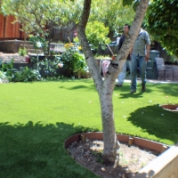 Artificial Turf Berkley Massachusetts Landscape