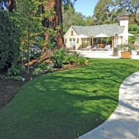 Artificial Turf Dover Massachusetts Landscape Back Yard