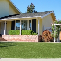 Artificial Turf North Lakeville Massachusetts Lawn Back