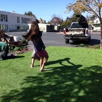 Artificial Turf Stoughton Massachusetts Lawn Back Yard