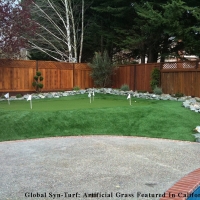 Golf Putting Greens Brookline Massachusetts Artificial Turf