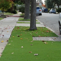 Synthetic Grass Attleboro Massachusetts Landscape Back