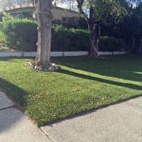 Synthetic Grass Plymouth Massachusetts Landscape Back Yard