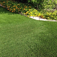 Synthetic Grass Raynham Massachusetts Landscape Back Yard