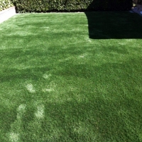 Synthetic Pet Grass Gloucester Massachusetts for Dogs Front