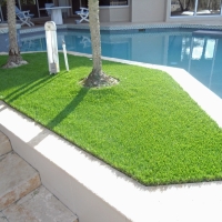 Synthetic Turf Belmont Massachusetts Landscape Back Yard