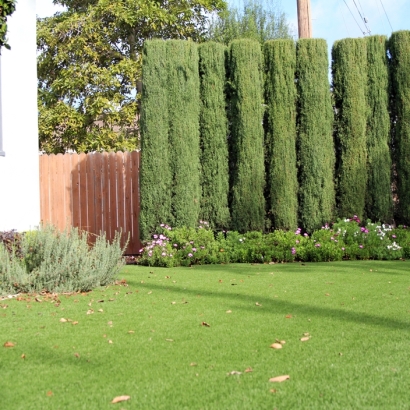 Artificial Grass Middleborough Center Massachusetts Landscape