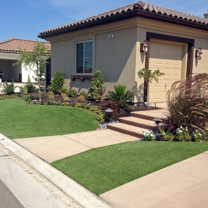 Artificial Turf Burlington Massachusetts Landscape Back