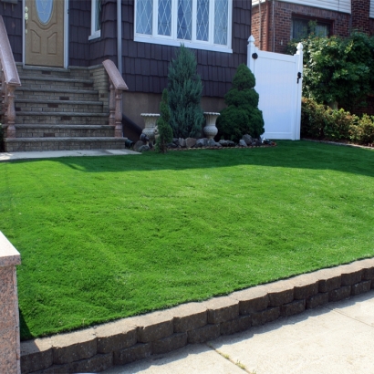 Artificial Turf Stoughton Massachusetts Lawn Dogs Front