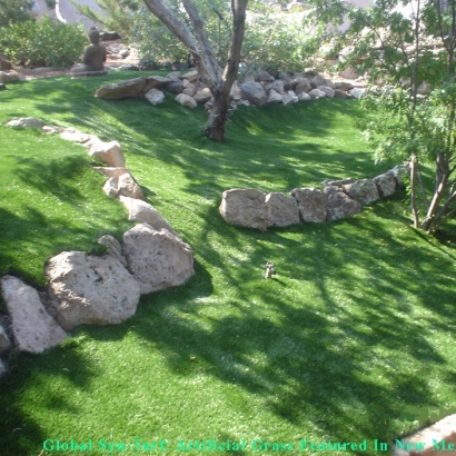 Fake Grass Cambridge Massachusetts Lawn