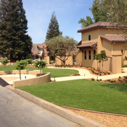 Synthetic Grass Randolph Massachusetts Landscape Back Yard