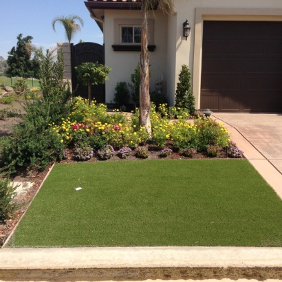 Synthetic Turf Abington Massachusetts Landscape Back Yard