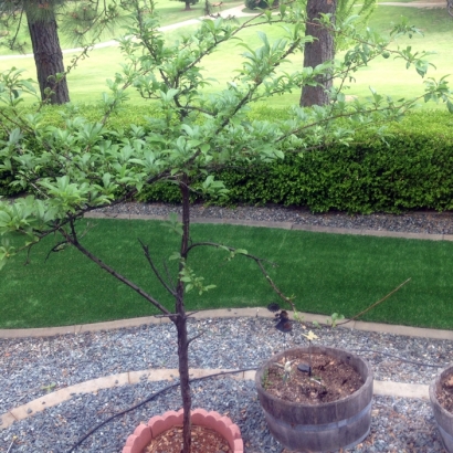 Synthetic Turf North Plymouth Massachusetts Lawn Front Yard