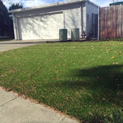 Synthetic Turf Pepperell Massachusetts Lawn