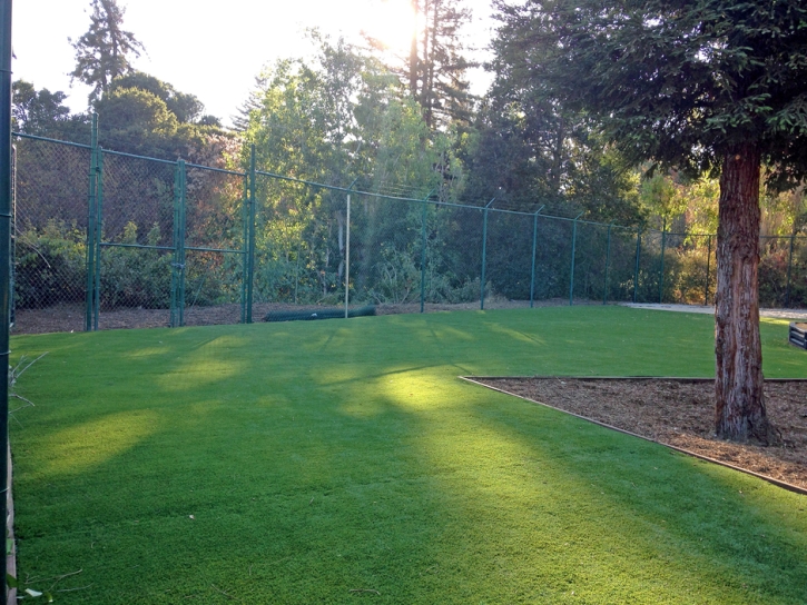 Artificial Grass Holbrook Massachusetts Playgrounds Front