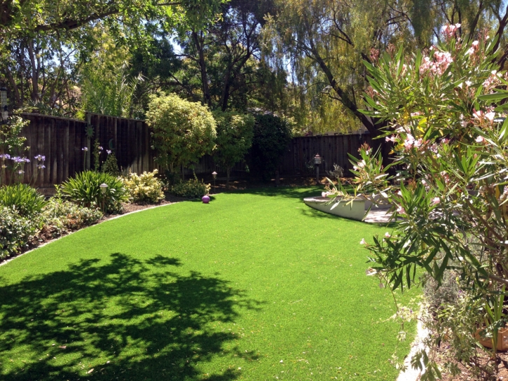 Artificial Grass Lynn Massachusetts Lawn Commercial Landscape