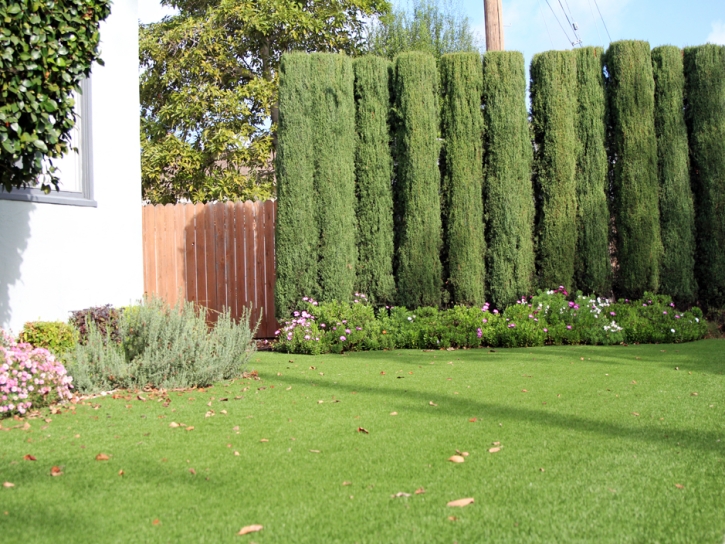 Artificial Grass Middleborough Center Massachusetts Landscape