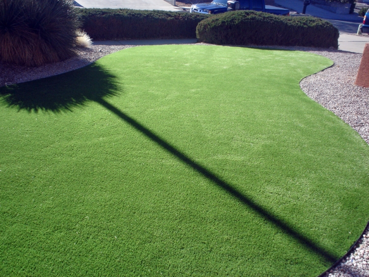 Artificial Grass Natick Massachusetts Lawn Commercial Landscape