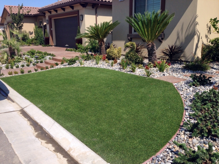 Artificial Grass Wellesley Massachusetts Landscape