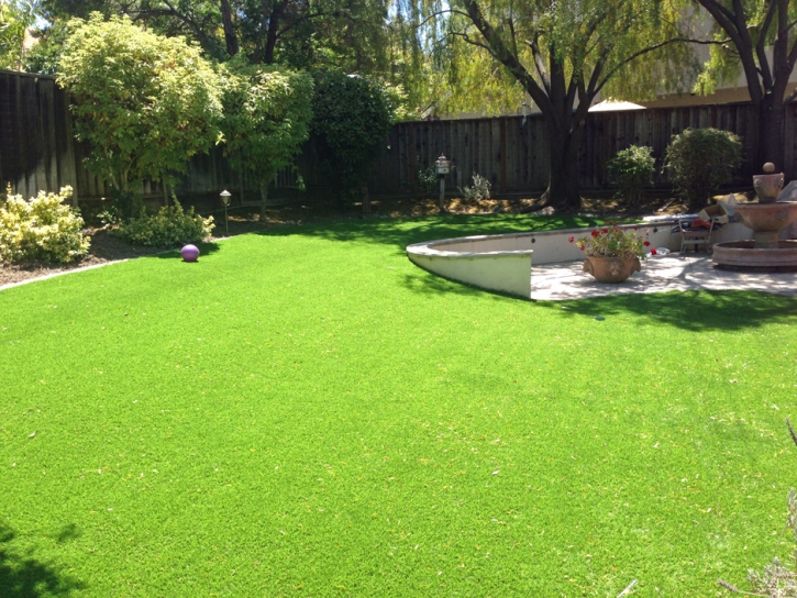 Artificial Grass Woburn Massachusetts Lawn Dogs Runs Back