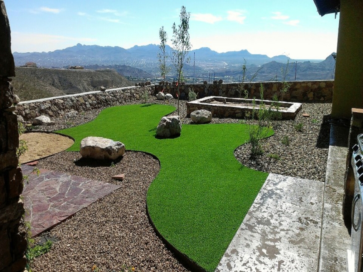 Artificial Pet Turf Framingham Massachusetts Installation