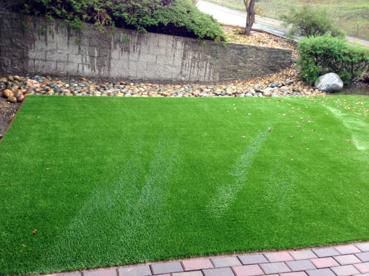 Artificial Pet Turf Ocean Bluff-Brant Rock Massachusetts