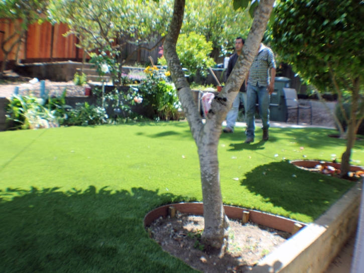 Artificial Turf Berkley Massachusetts Landscape