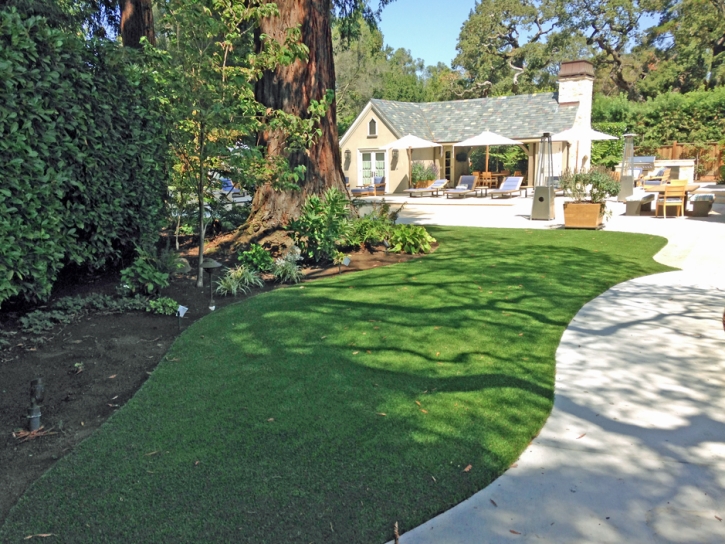 Artificial Turf Dover Massachusetts Landscape Back Yard