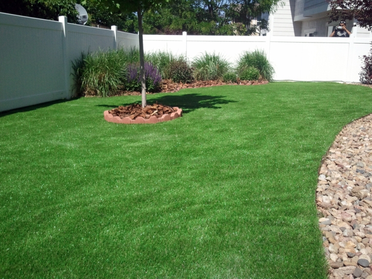 Artificial Turf Medford Massachusetts Landscape