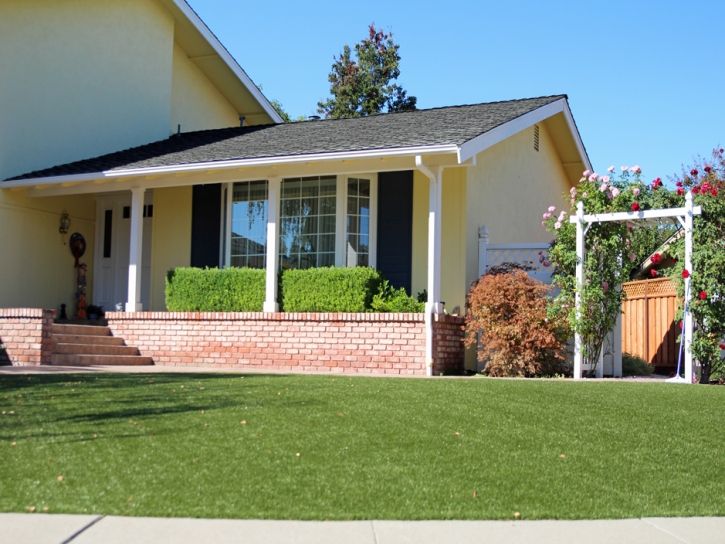 Artificial Turf North Lakeville Massachusetts Lawn Back