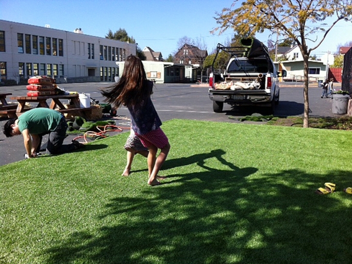 Artificial Turf Stoughton Massachusetts Lawn Back Yard