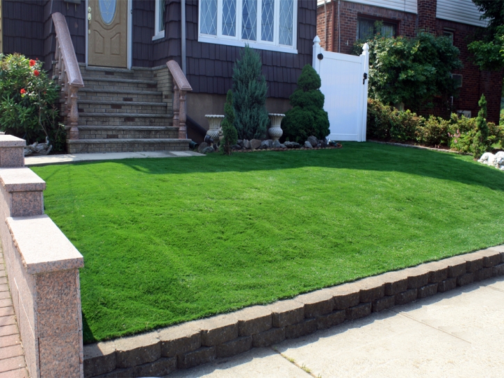 Artificial Turf Stoughton Massachusetts Lawn Dogs Front