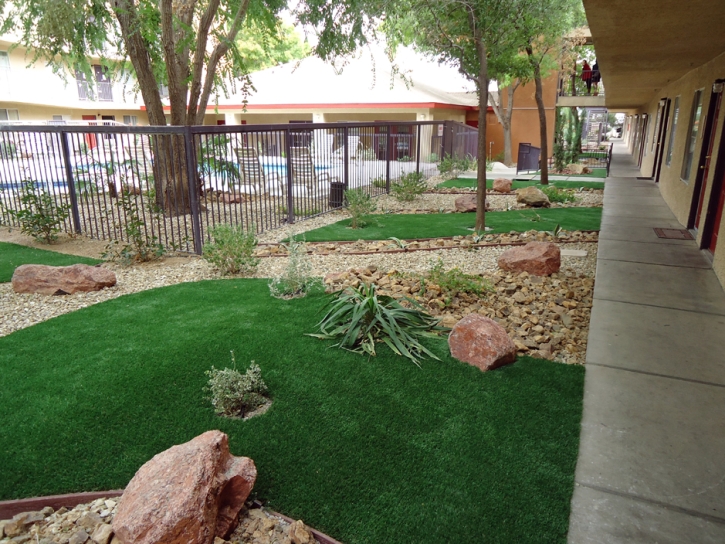 Artificial Turf Watertown Massachusetts Landscape