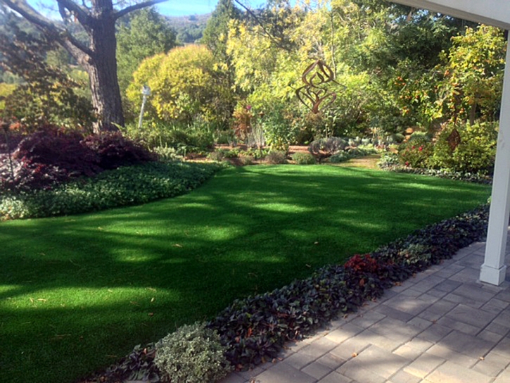 Fake Grass Bellingham Massachusetts Lawn Front Yard