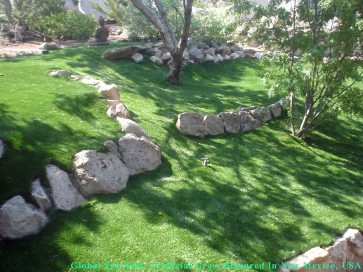 Fake Grass Cambridge Massachusetts Lawn