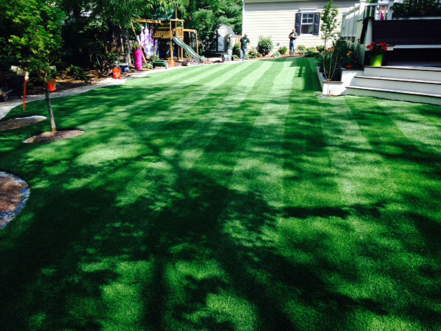 Fake Grass Carpet Weweantic, Massachusetts Lawn And Landscape, Backyard