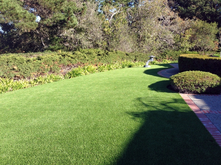 Fake Grass North Reading Massachusetts Landscape Back Yard