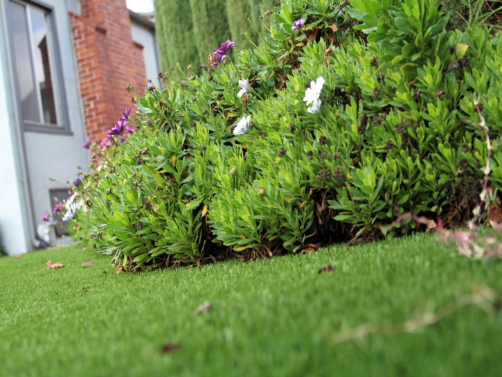 Fake Grass Plympton Massachusetts Landscape Front Yard