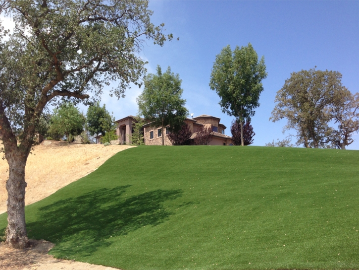 Fake Grass Westwood Massachusetts Landscape Front Yard