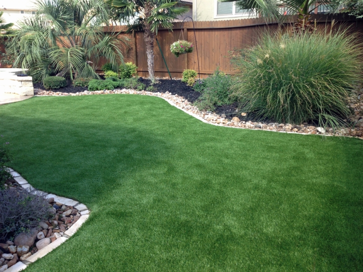 Fake Pet Turf Tewksbury Massachusetts Installation Back