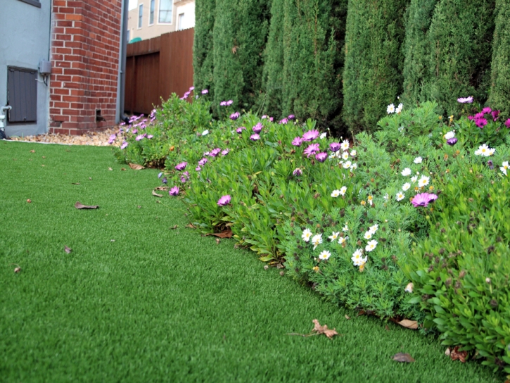 Fake Turf Cumberland Rhode Island Landscape Back Yard