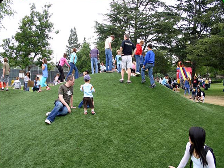 Fake Turf Norfolk Massachusetts Kindergarten Back Yard Front