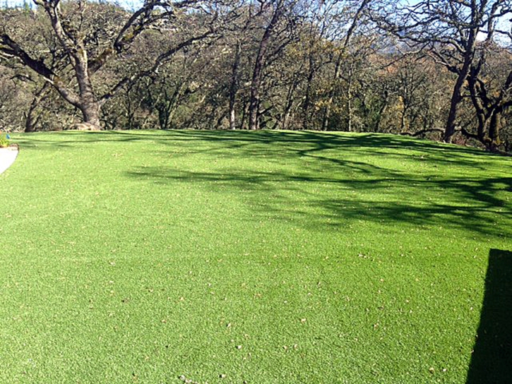 Fake Turf Salisbury Massachusetts Lawn Back Yard