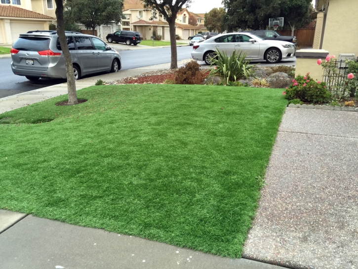 Fake Turf South Lancaster Massachusetts Landscape