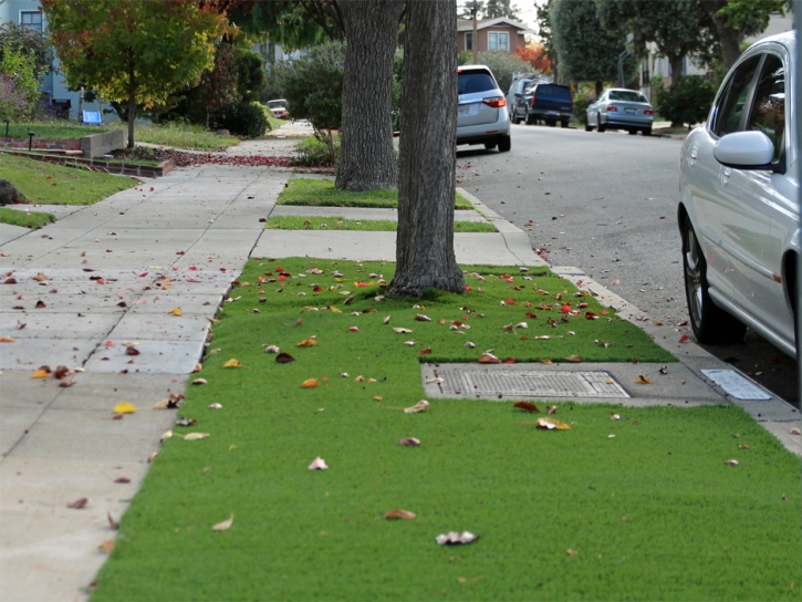 Synthetic Grass Attleboro Massachusetts Landscape Back