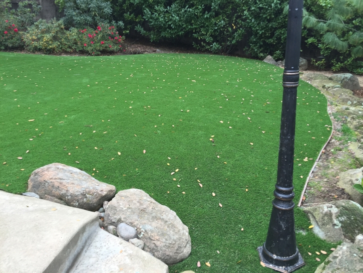 Synthetic Grass Berkley Massachusetts Lawn