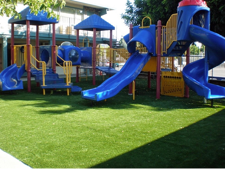 Synthetic Grass Medway Massachusetts School Front Yard