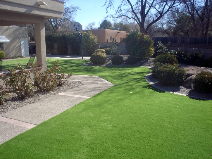 Synthetic Grass Melrose Massachusetts Landscape Front Yard